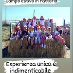 Fattoria Rovello San Paolo di Civitate