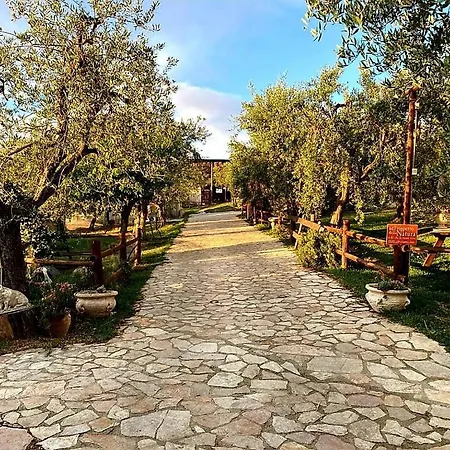Fattoria Rovello *