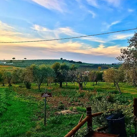 Fattoria Rovello ファームステイ